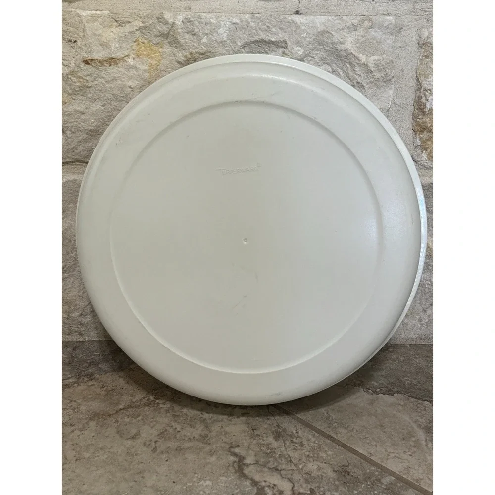 Vintage Divided Tupperware Veggie Fruit Chip Dip Serving Tray With Lid Large 14